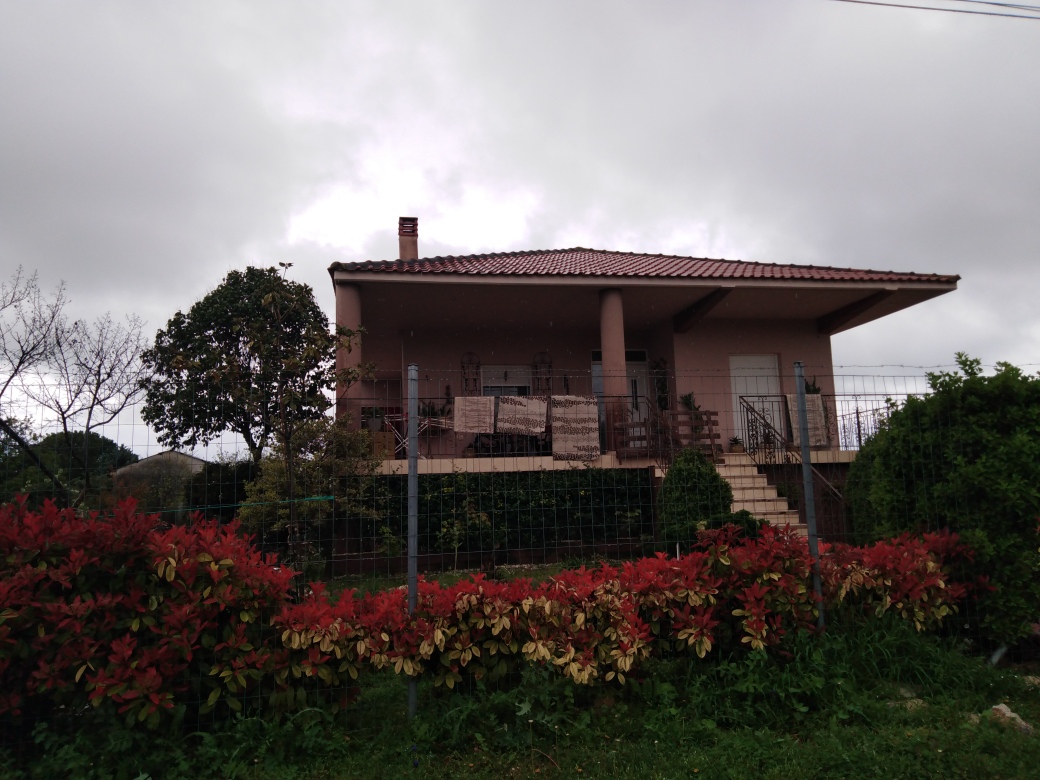 photo3