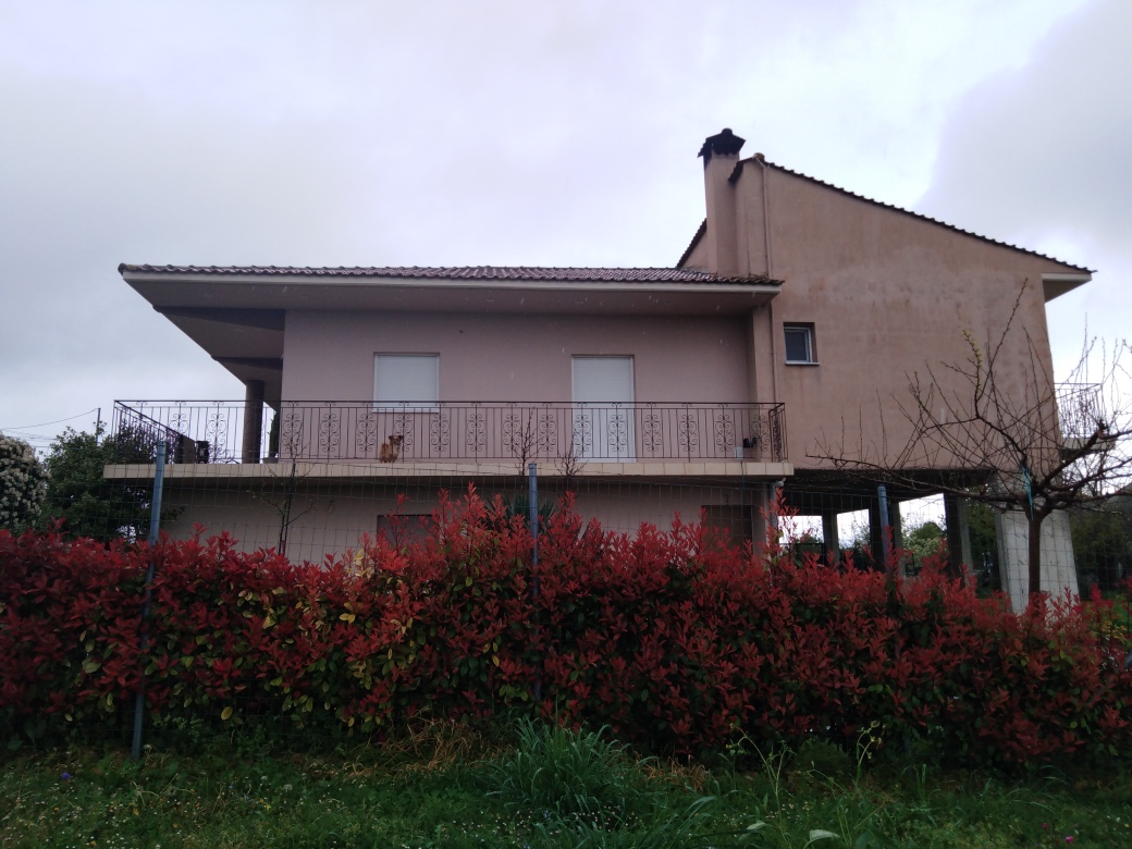 photo4