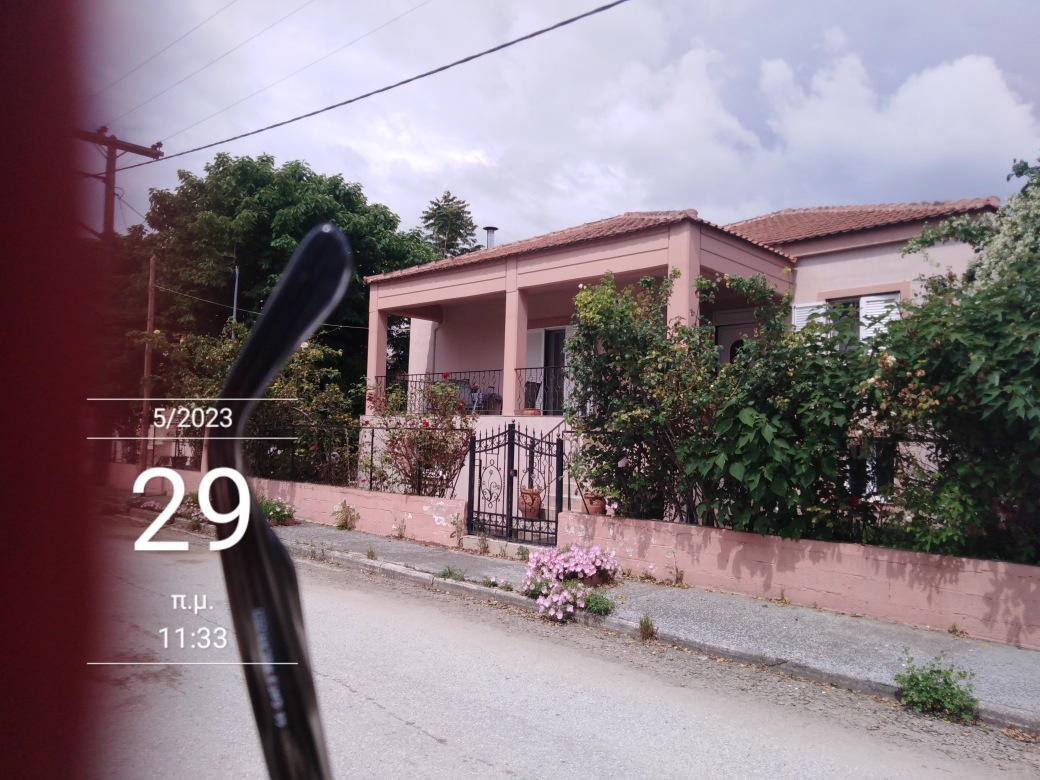 photo8