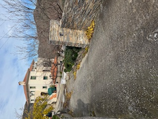 photo0