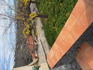 photo1