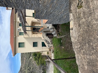 photo2