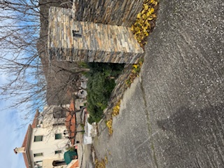 photo5
