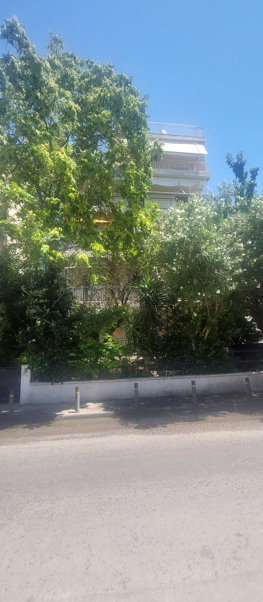 photo0
