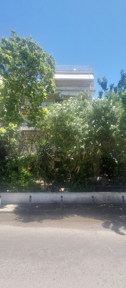 photo1