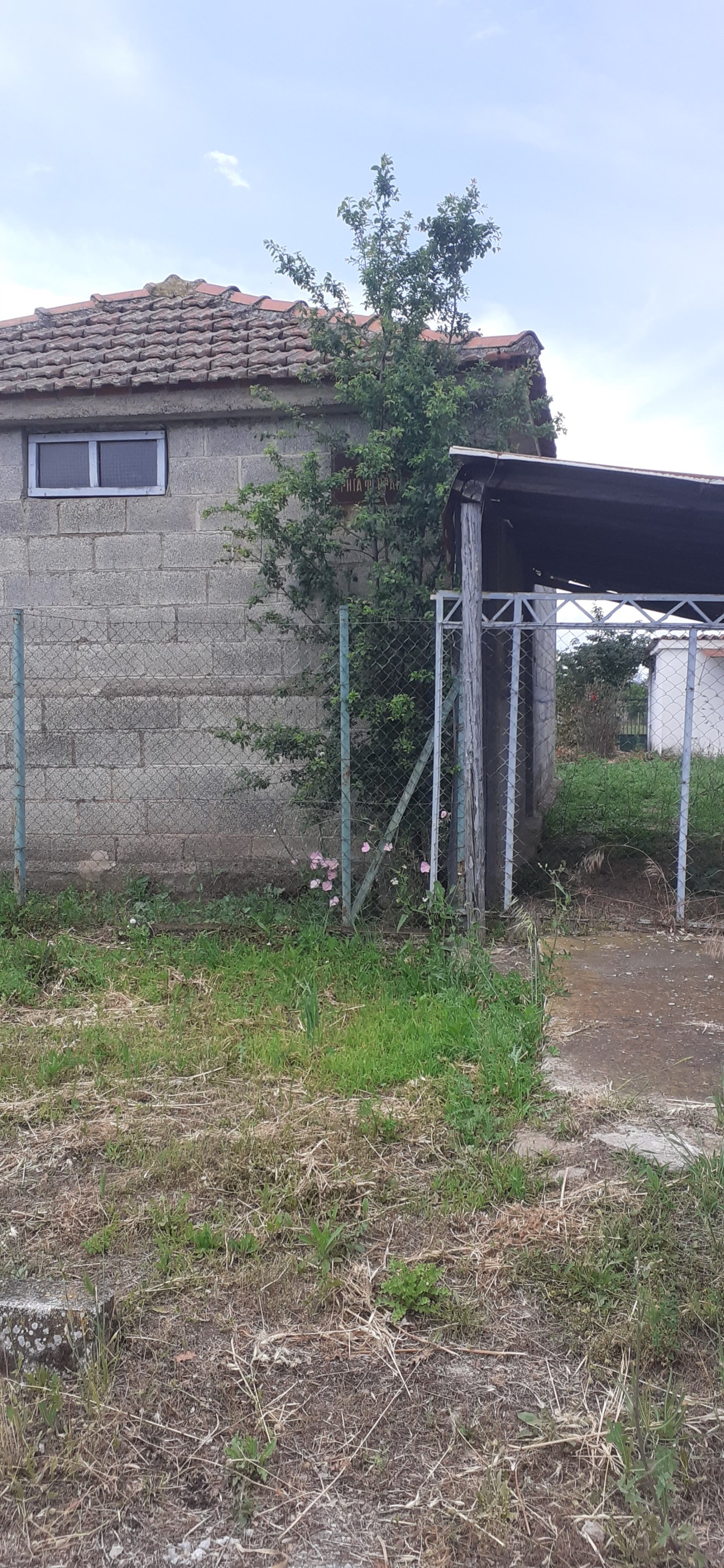 photo1
