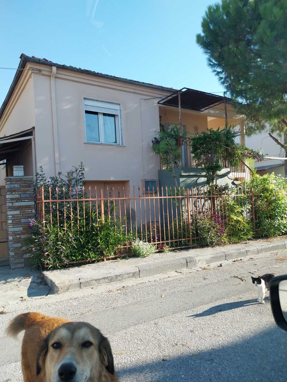 photo1
