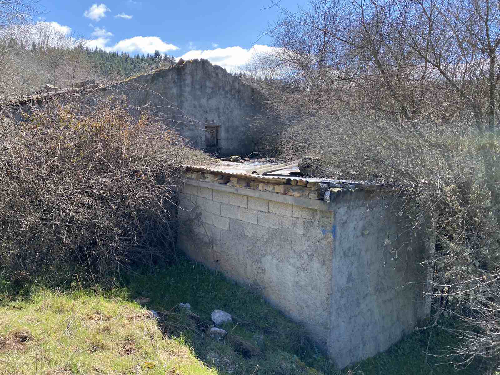 Αγροτεμάχιο  σε πλειστηριασμό Δήμος Γόρτυνος
