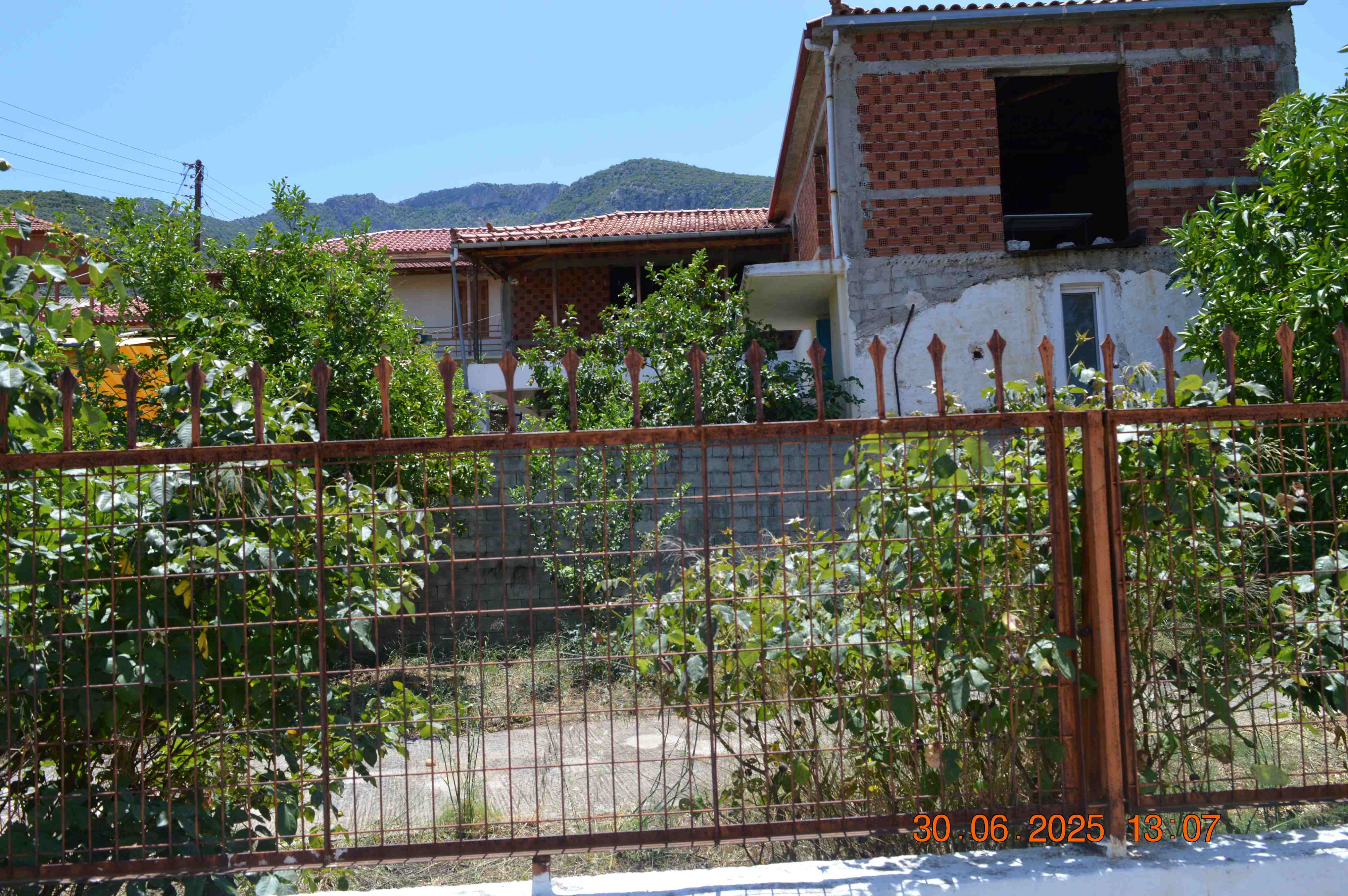 photo1