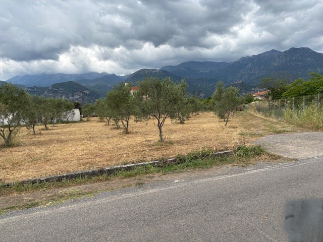 photo0