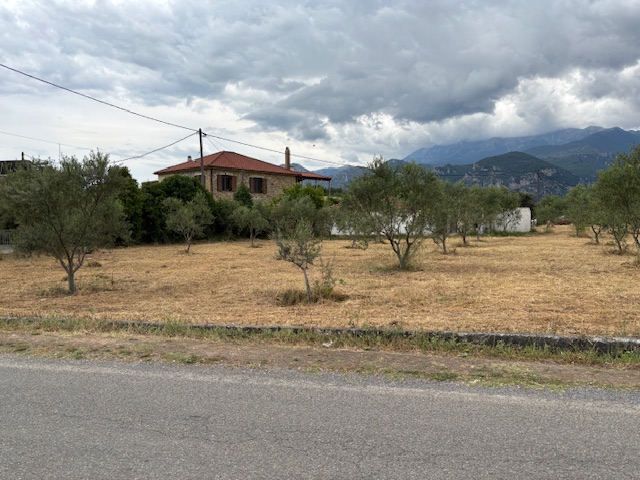 photo1