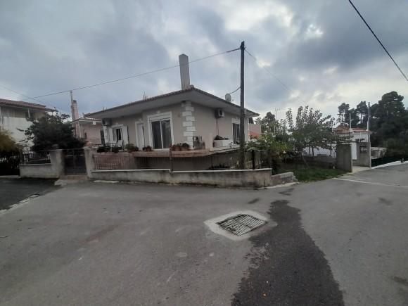 photo1