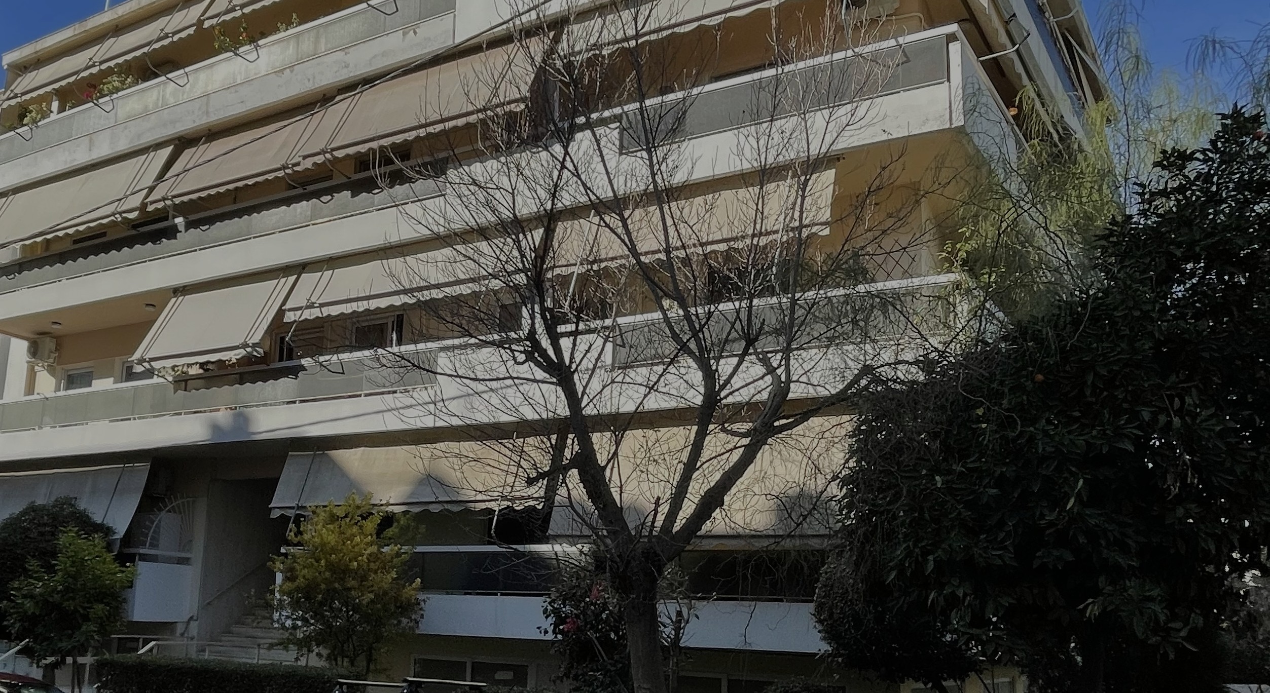 photo1