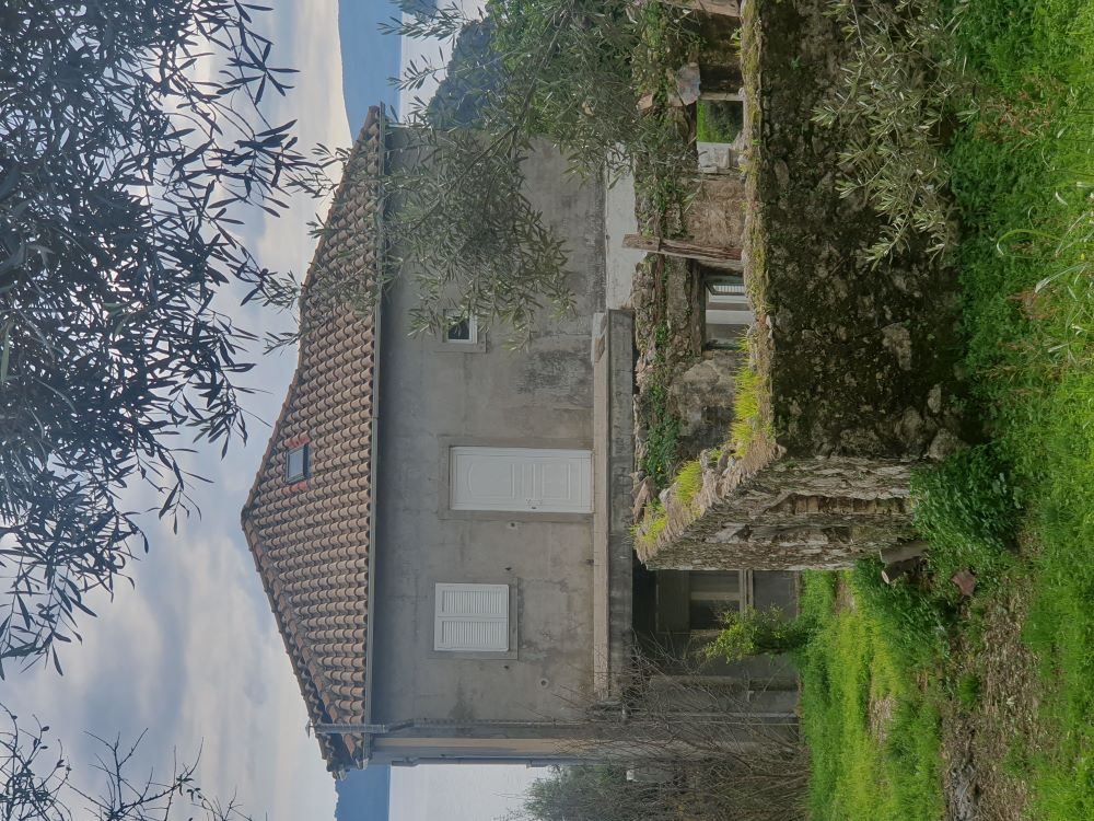 photo2