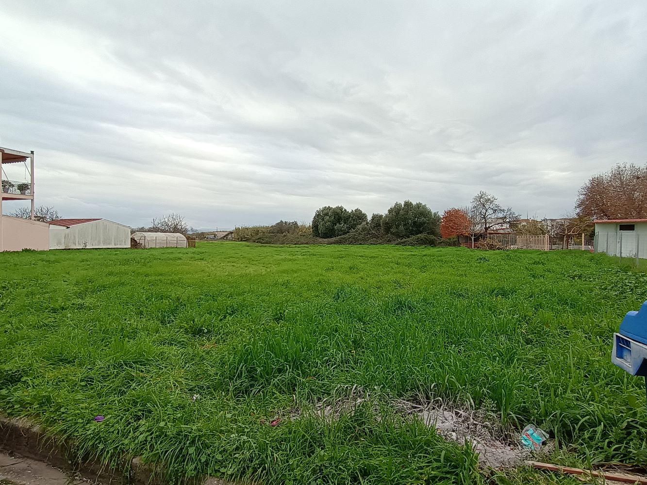 photo1