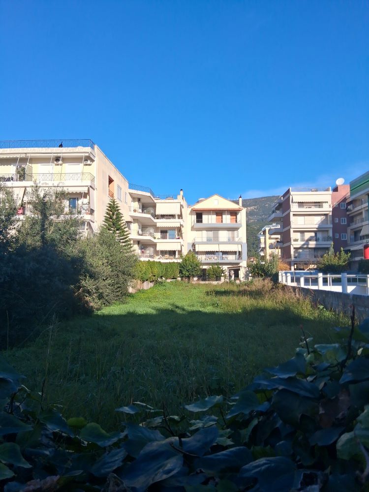 photo3