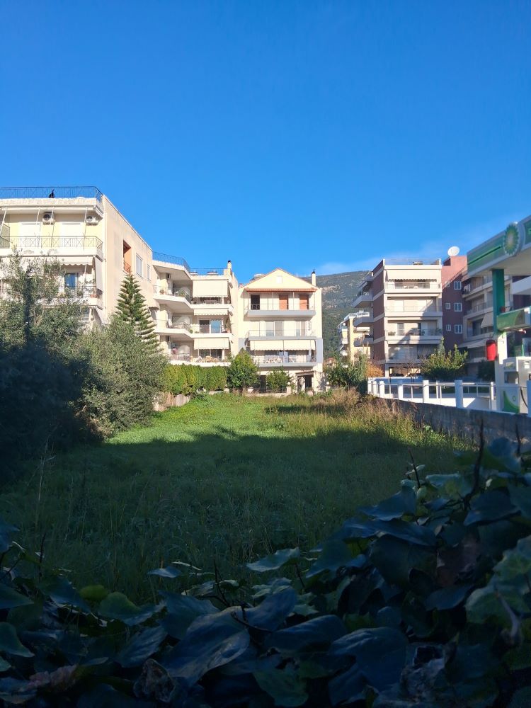 photo5