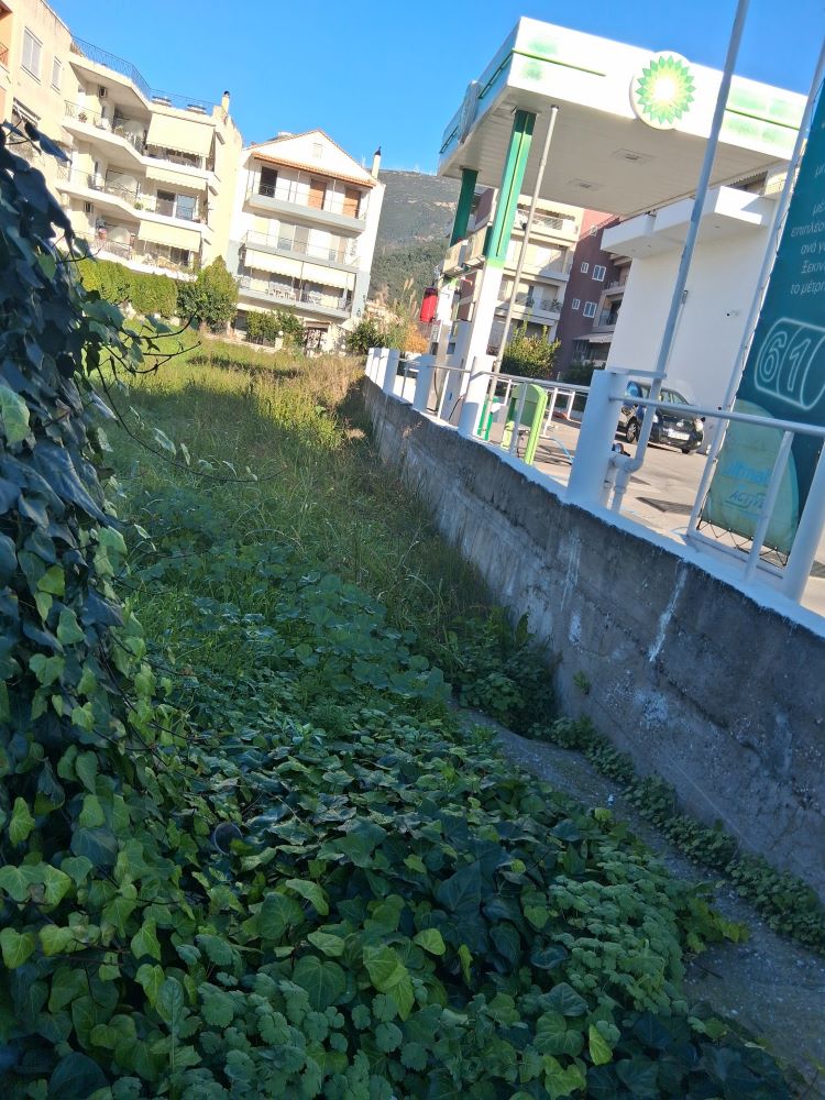 photo7