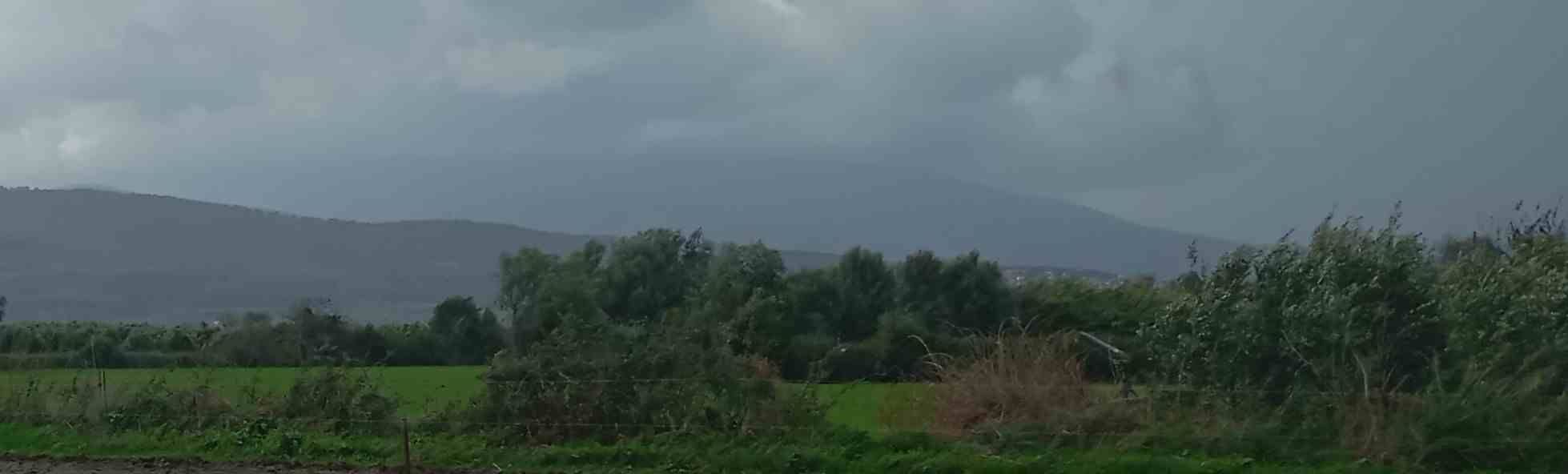 Αγροτεμάχιο  σε πλειστηριασμό Δήμος Αμφιλοχίας