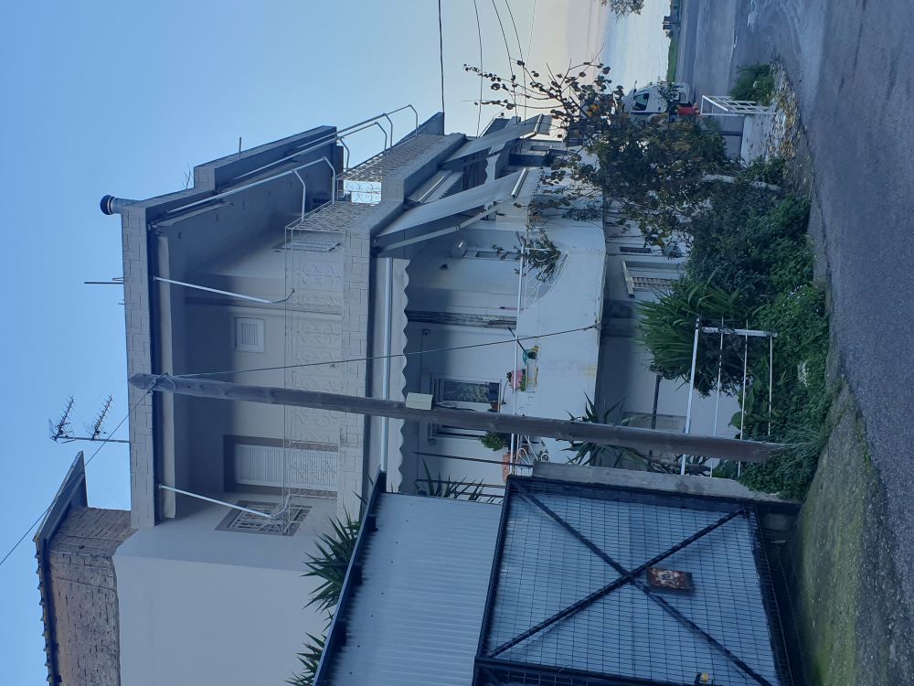 photo0