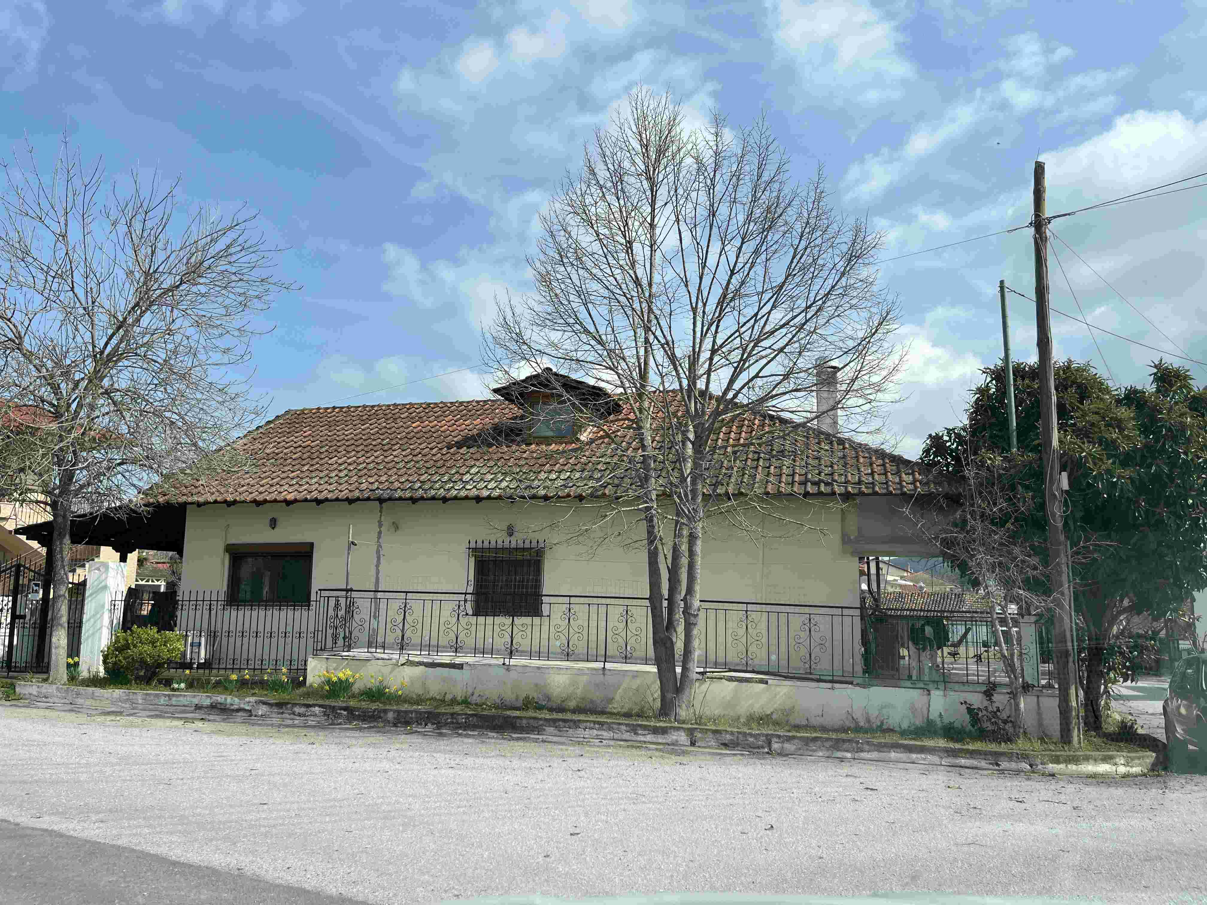 photo1