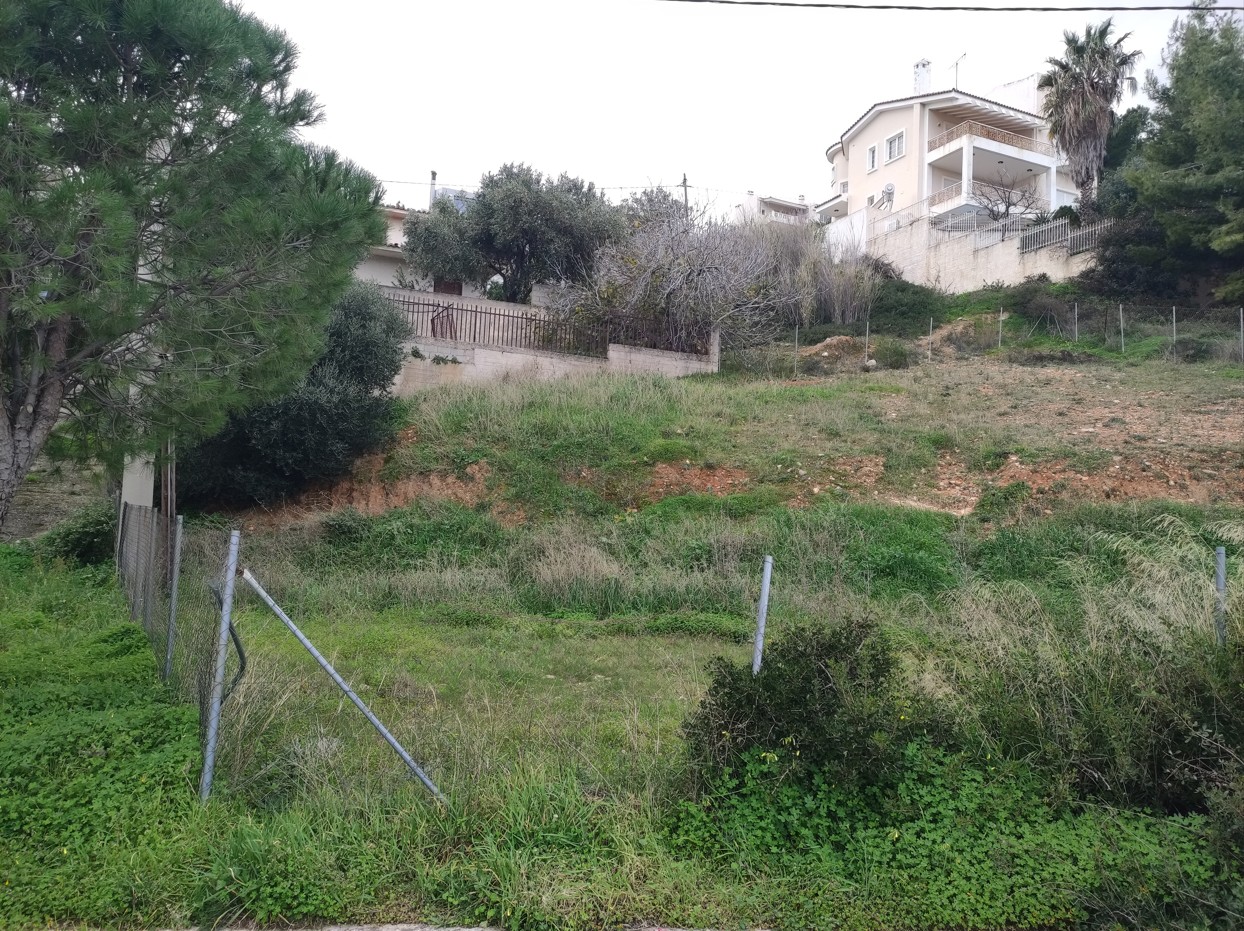 photo0