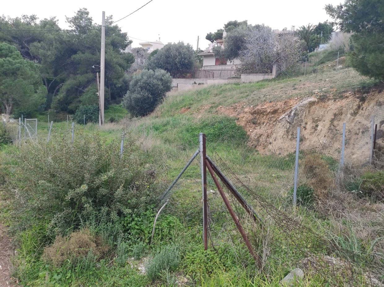 photo1