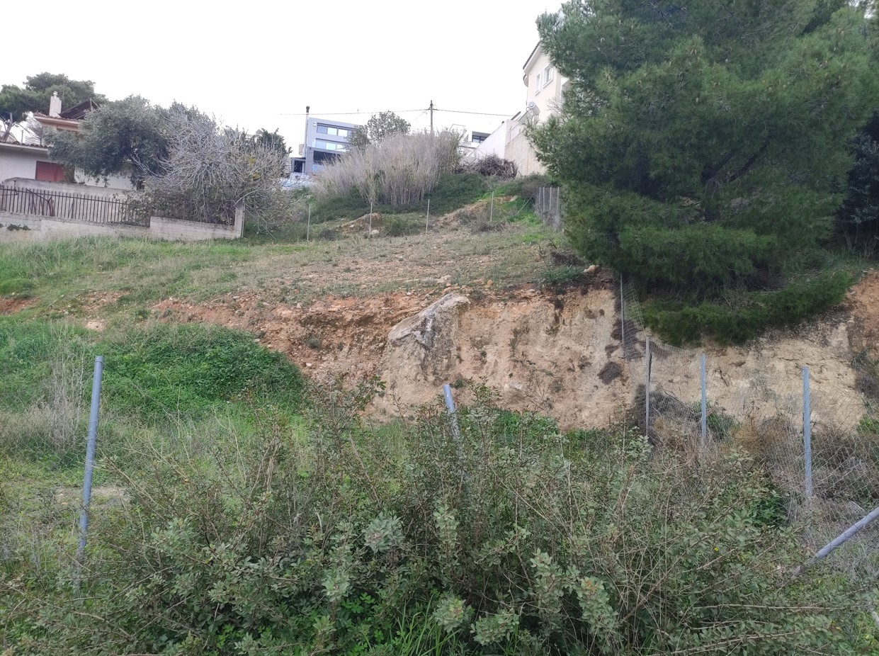 photo2