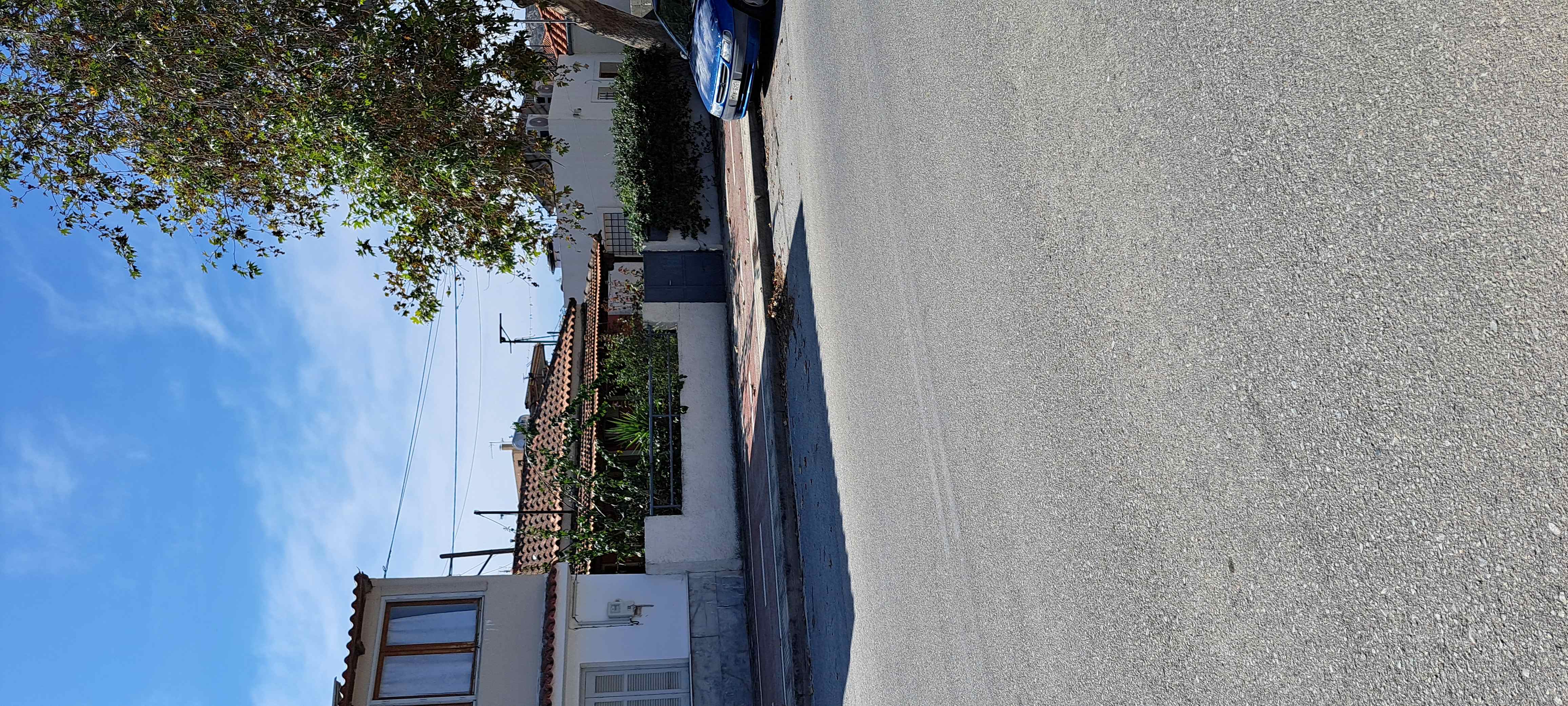 photo1