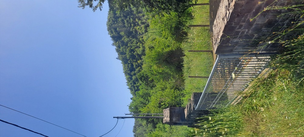 photomain