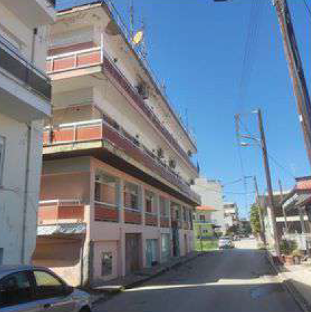 photo1