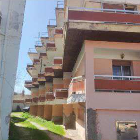 photo2