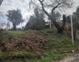photomain