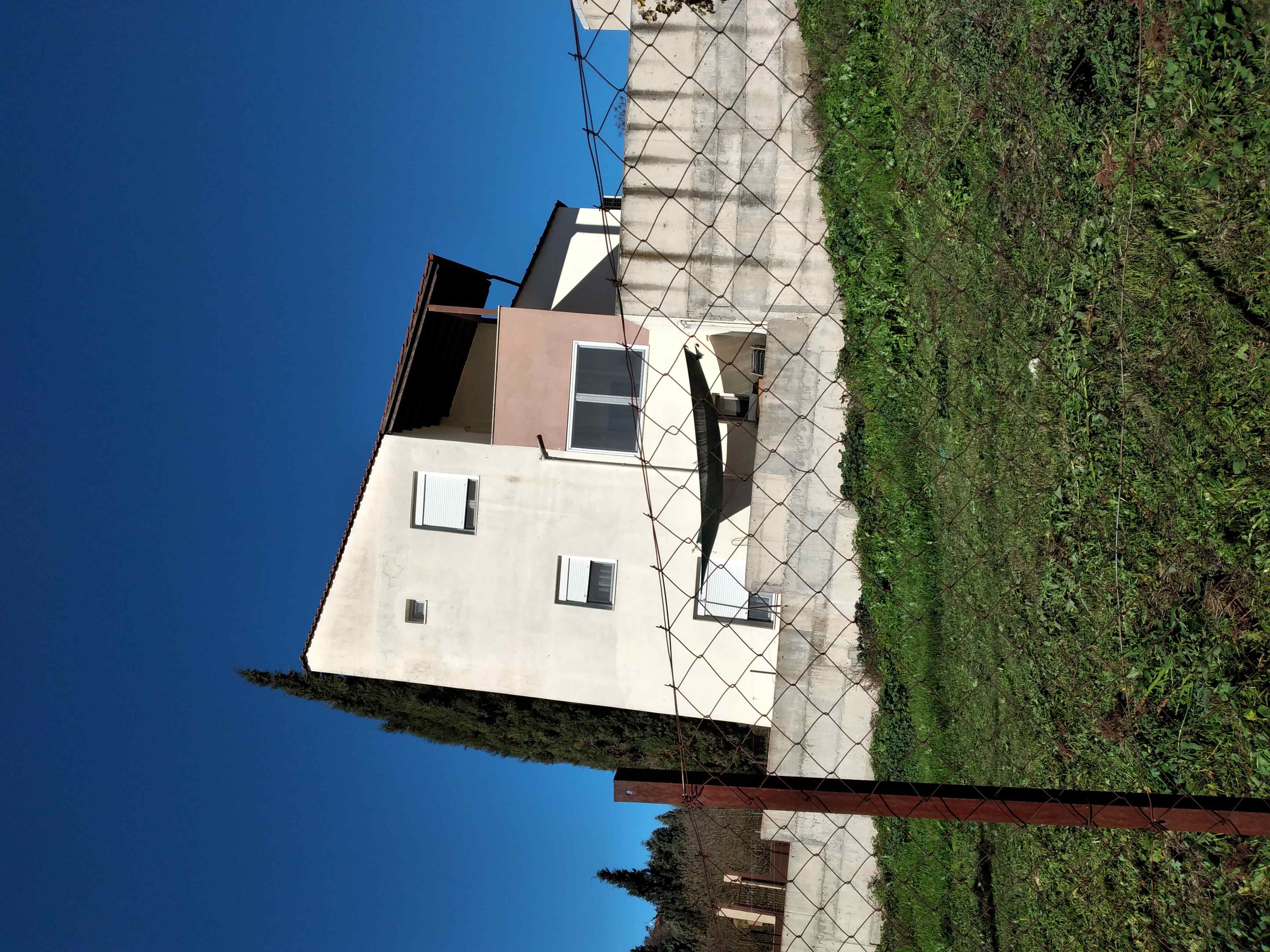 photo1