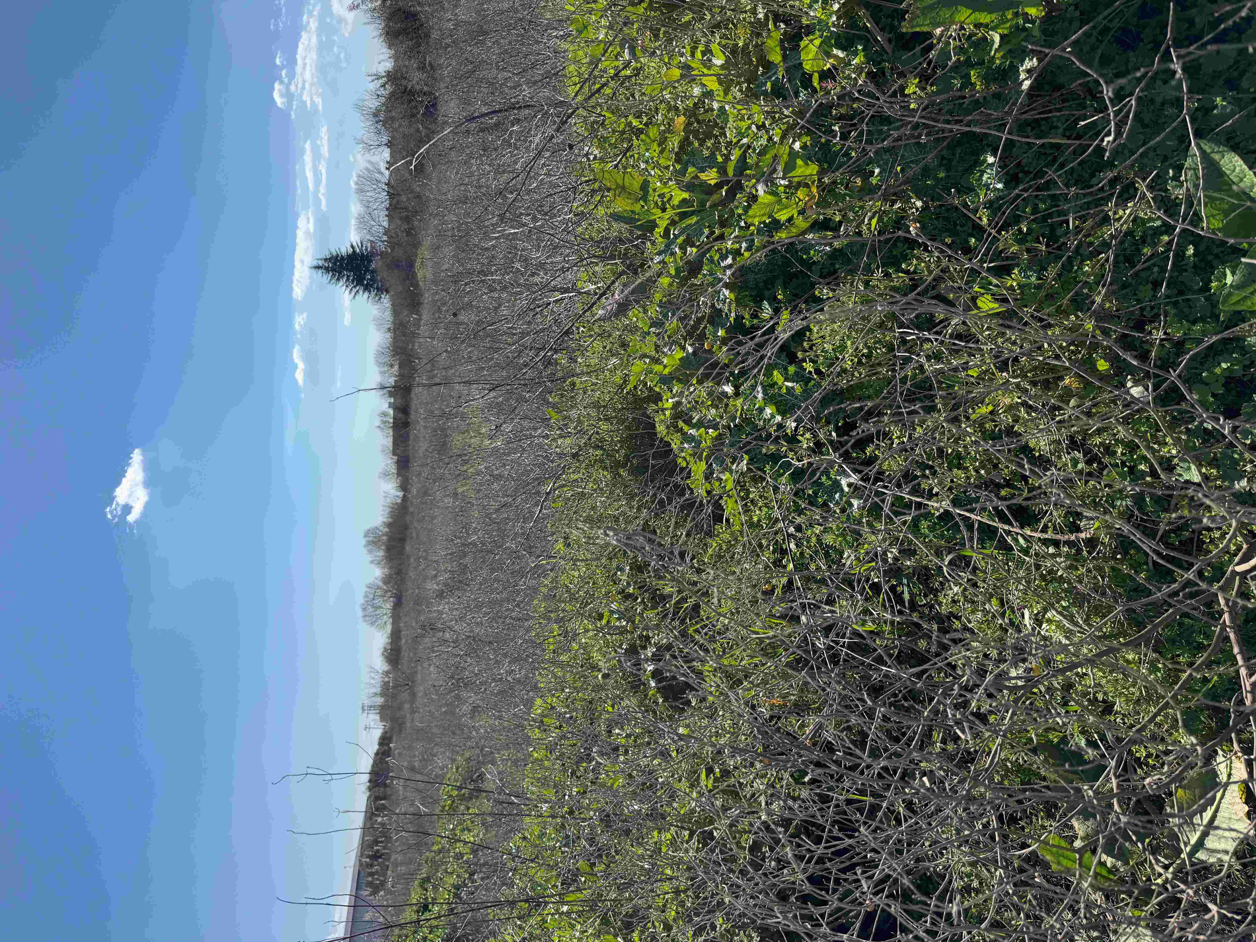 photo0