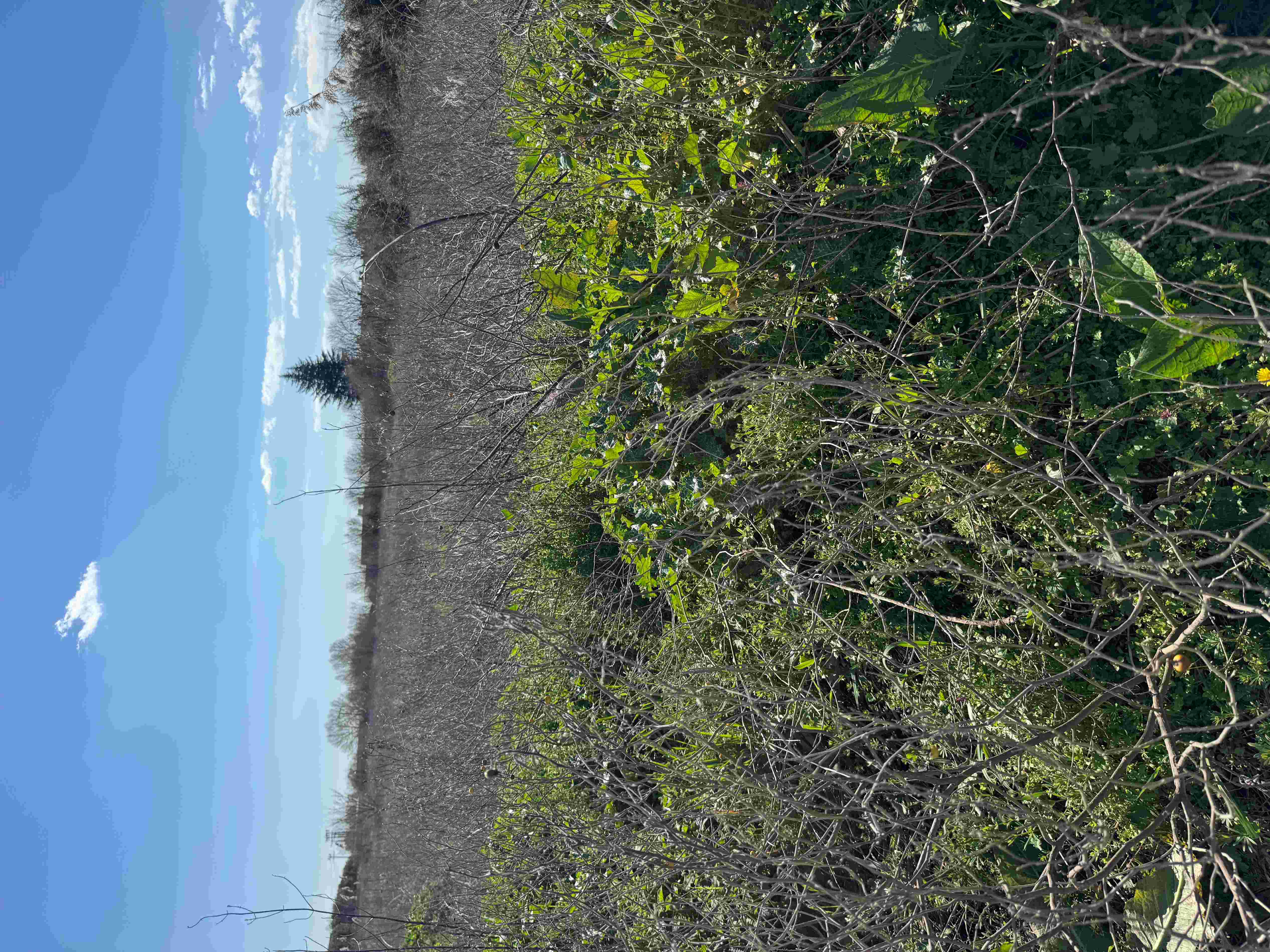 photo1