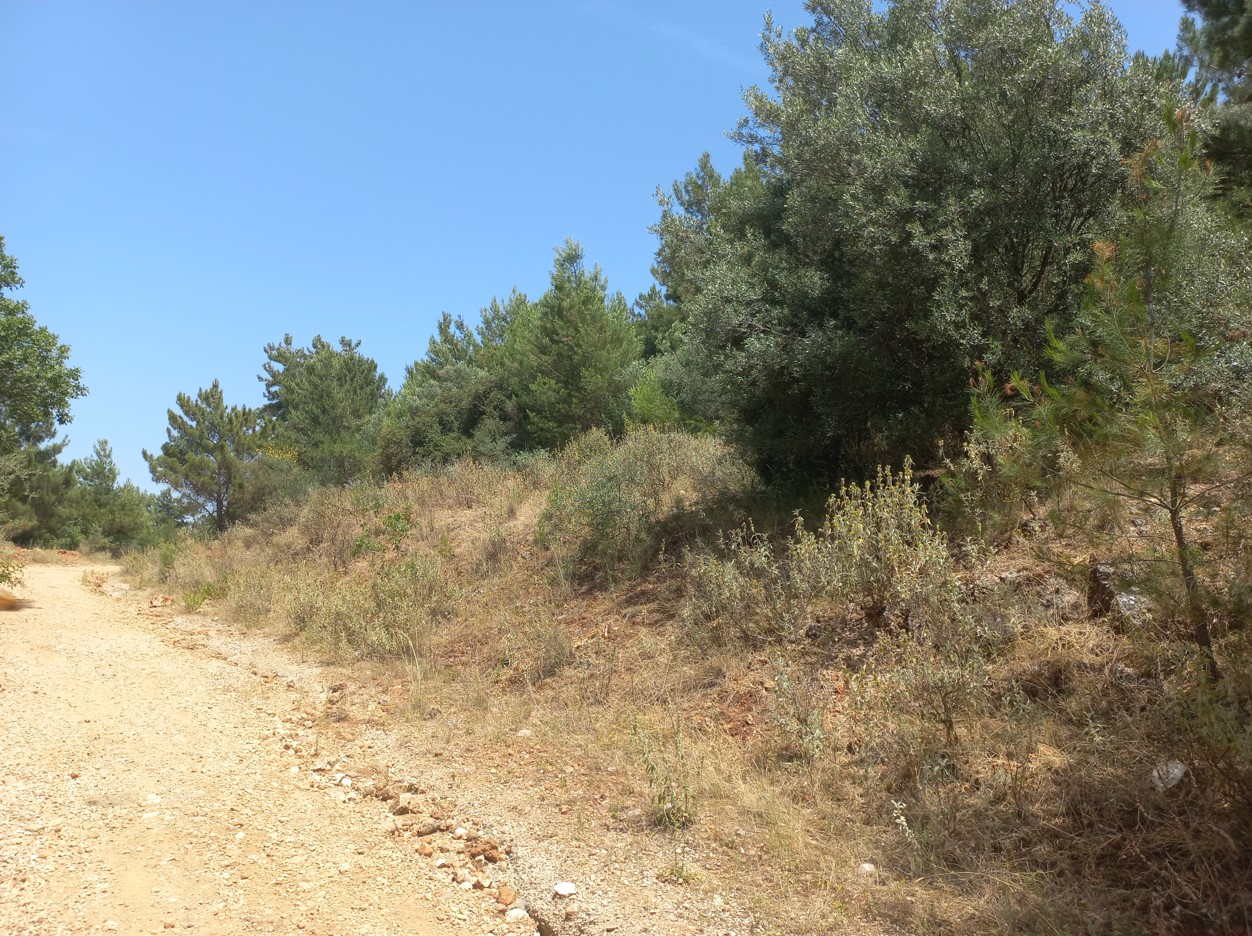 photo1