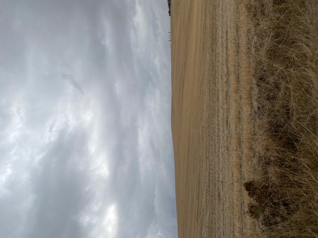photo1
