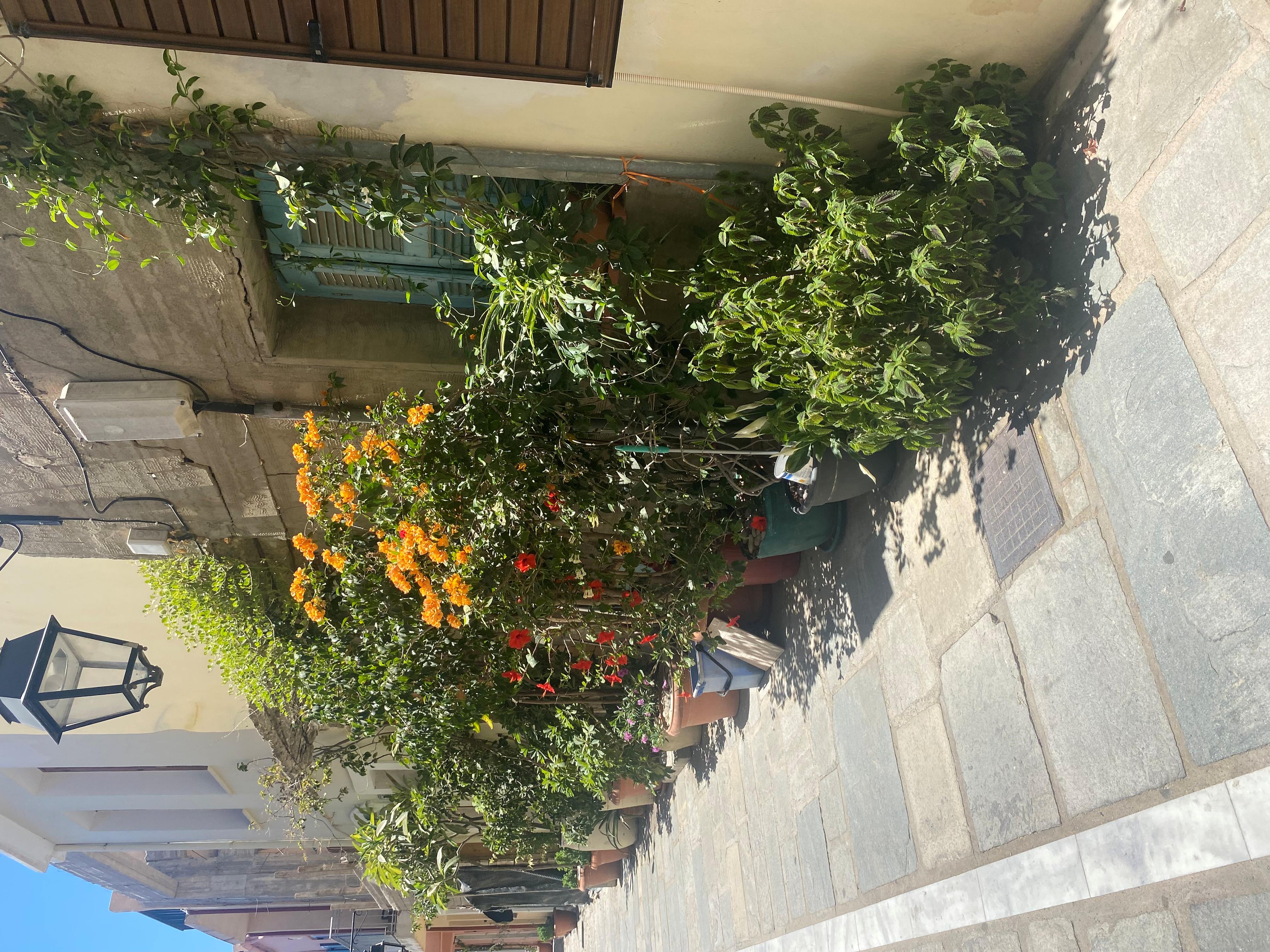 photo0