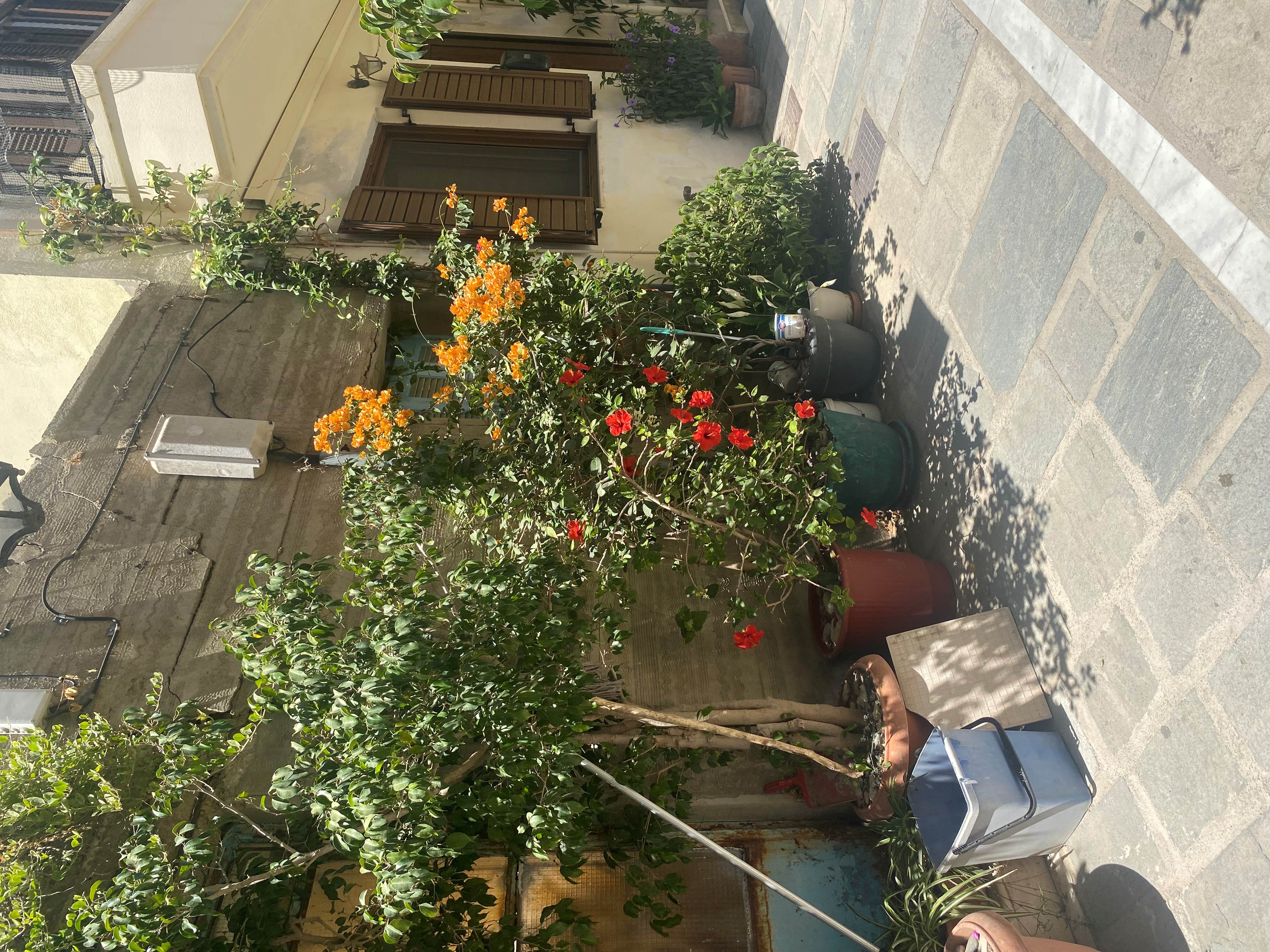 photo1