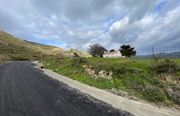 photo1