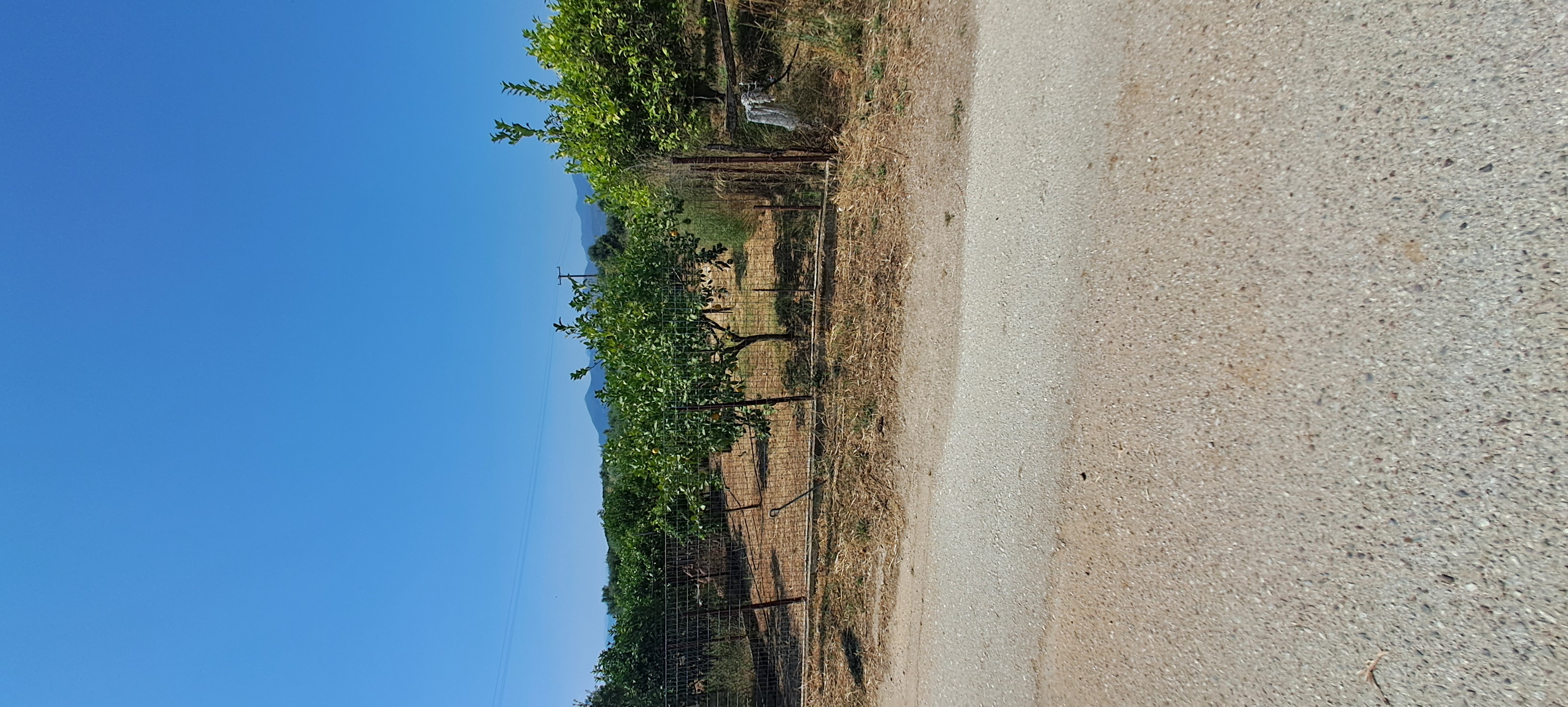 photo2