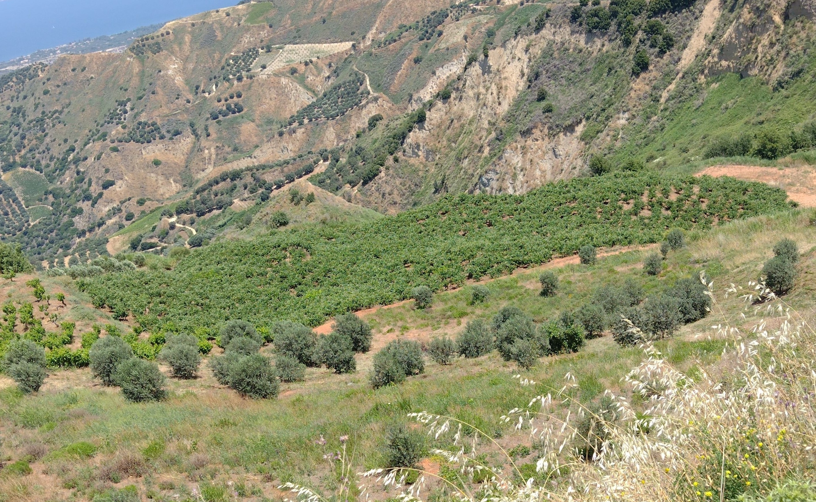 photo1