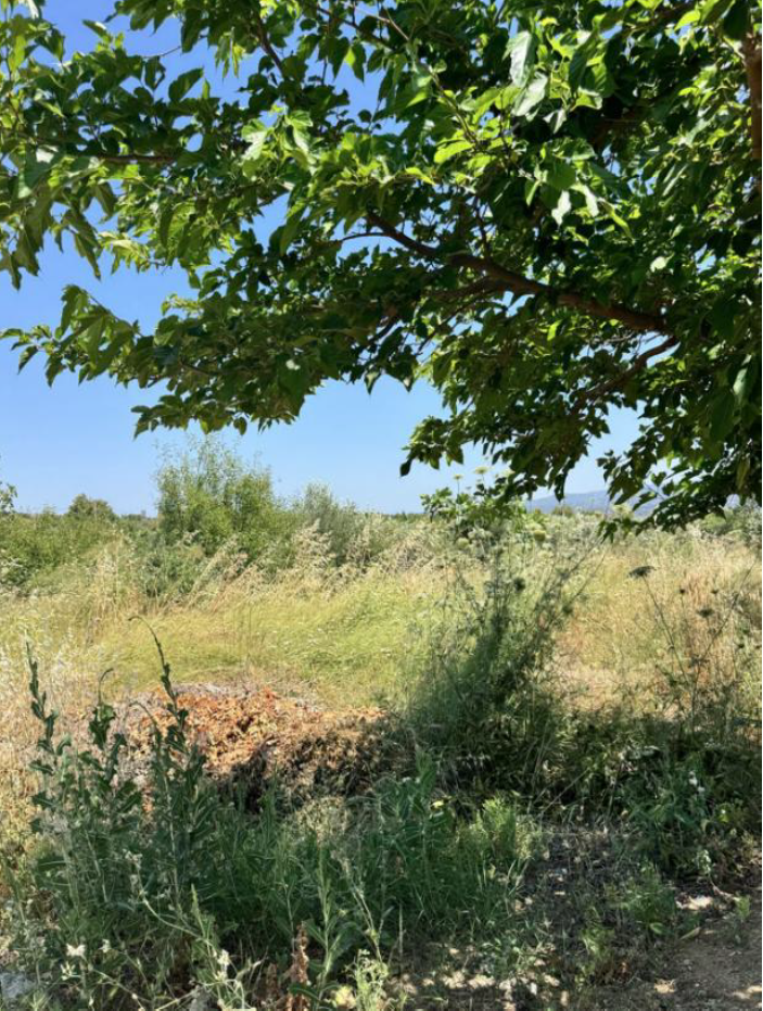 photo1