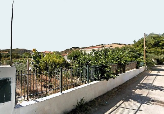 photo1