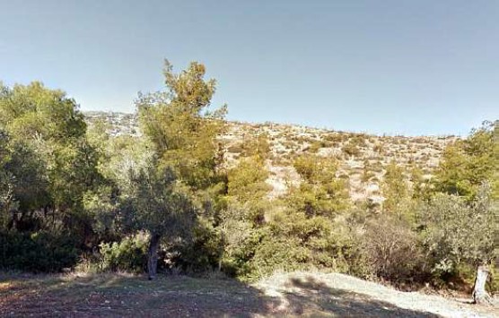 photo1