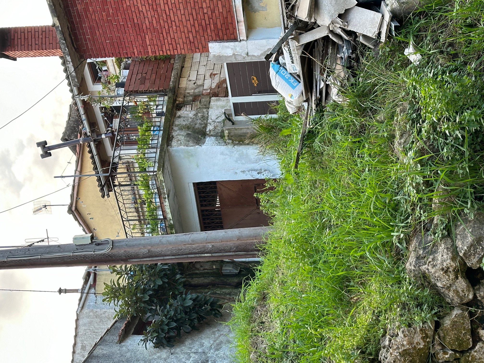 photo1