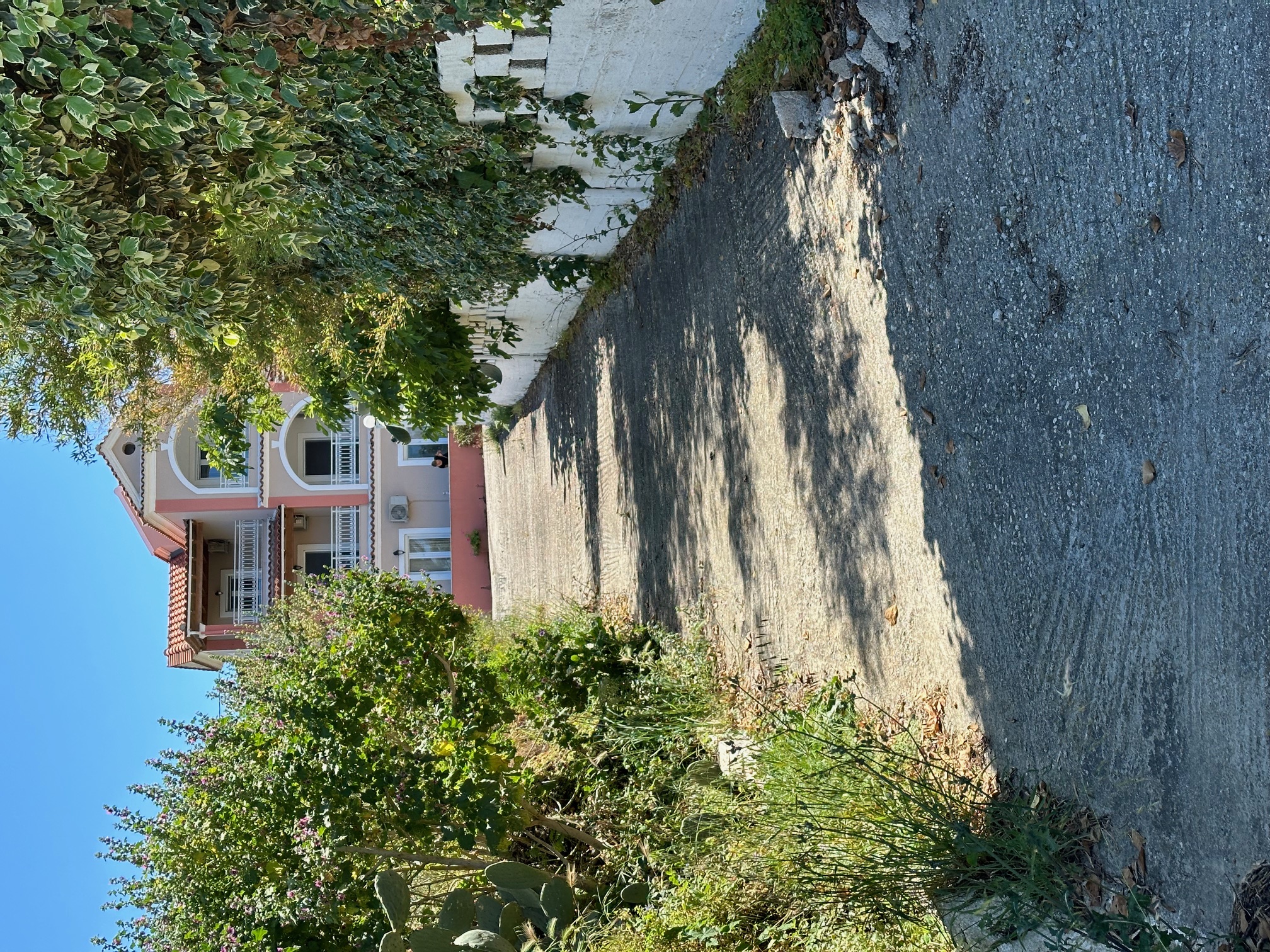 photo1