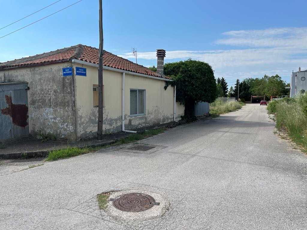 photo2