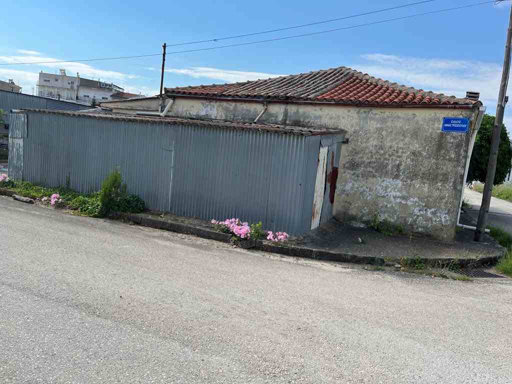 photo5